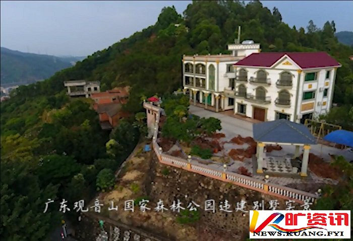 国家多部门合力守护林草资源，观音山原始次森