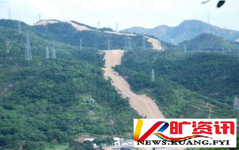 国家多部门合力守护林草资源，观音山原始次森