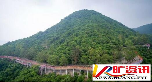 国家多部门合力守护林草资源，观音山原始次森