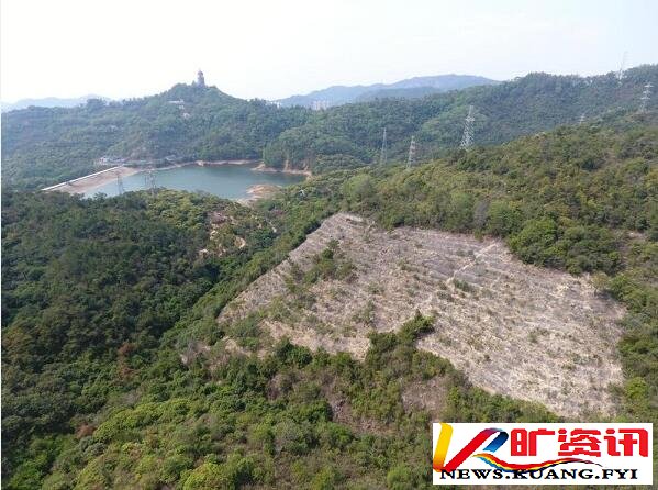 黄淦波：东莞市林业局为何长期打压观音山国家