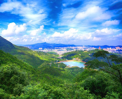 东莞市形式一片大好，我却笑倒在观音山