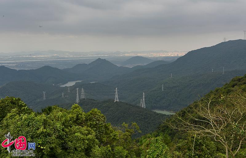 遭遇地方多年卡脖，首家民营国家森林公园竟不