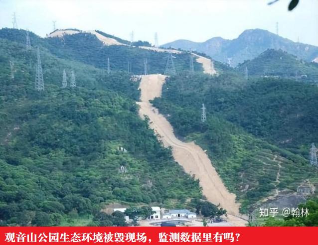 东莞市市长吕成蹊：会上大讲发展经济植绿林、