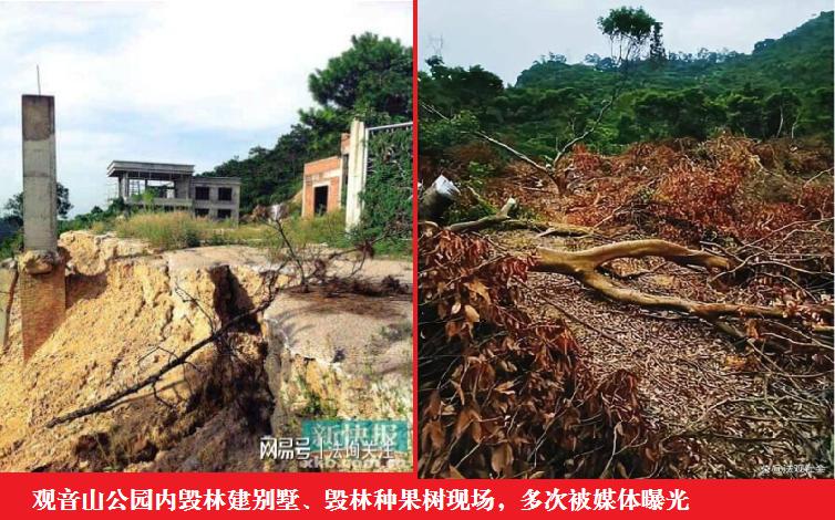 东莞市市长吕成蹊：会上大讲发展经济植绿林、