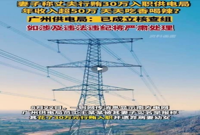 南方电网，删帖招数不断为哪般