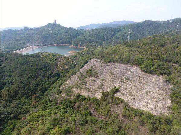 东莞市长吕成蹊用心用情解决急难愁盼问题，观