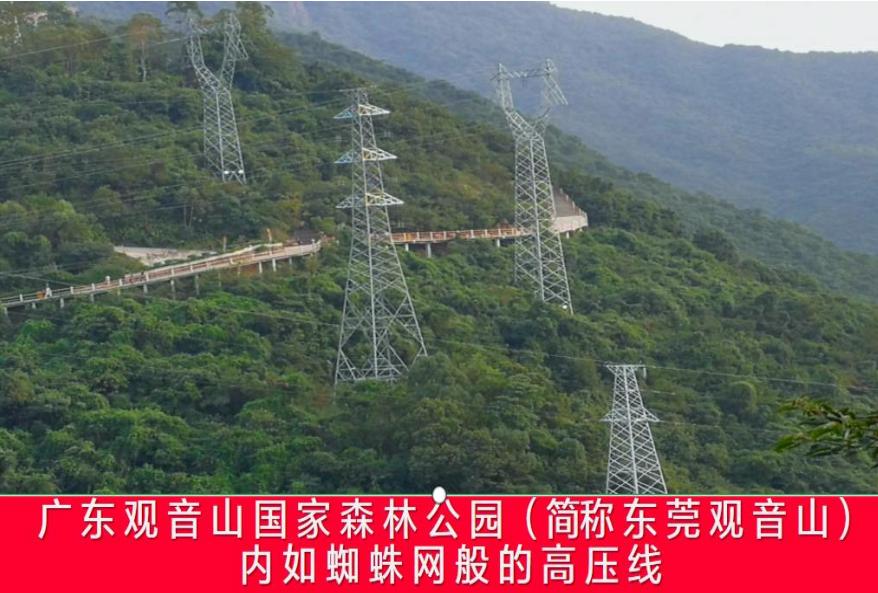 “促进民营经济发展壮大”的号角下， “全国样