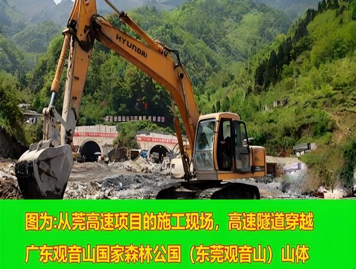 广东观音山森林公园内违反多种法规,存在多重