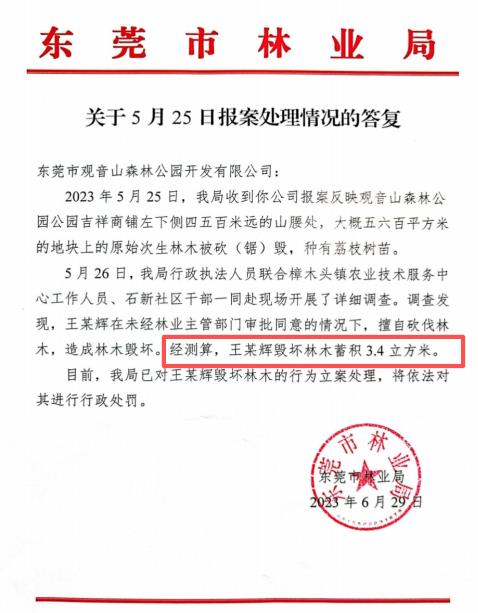 毁林千亩、维权廿载:一座民营国家级森林公园
