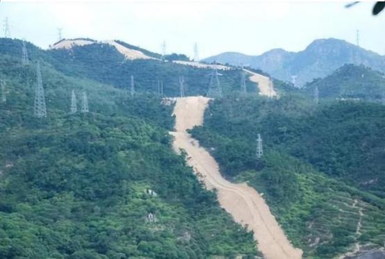 毁林千亩、维权廿载:一座民营国家级森林公园
