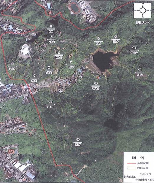 毁林千亩、维权廿载:一座民营国家级森林公园