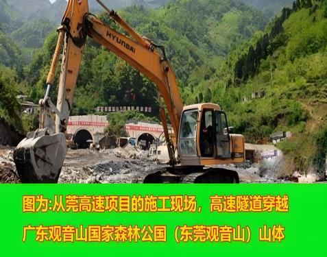 毁林千亩、维权廿载:一座民营国家级森林公园