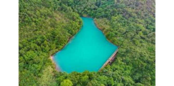 广东东莞观音山民企陷系统性维权