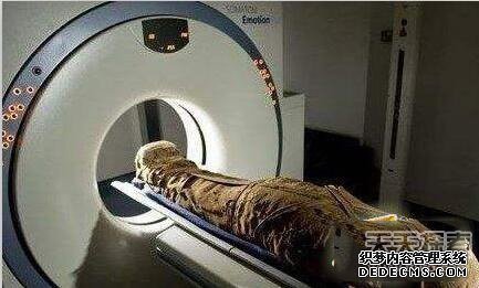 女木乃伊离奇怀孕 胎儿父亲竟是看守人