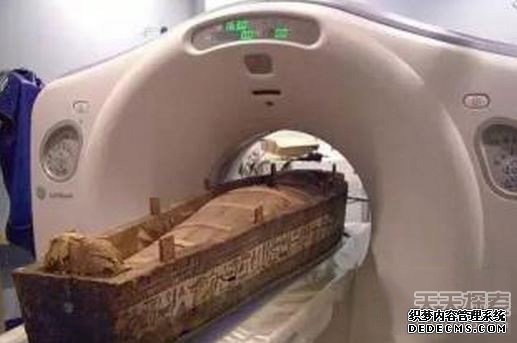 女木乃伊离奇怀孕 胎儿父亲竟是看守人