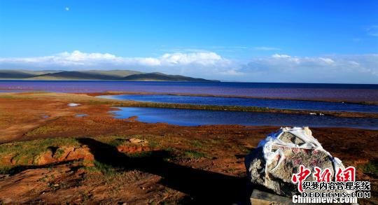 “黄河源头第一县”发布禁令 禁止开展旅游活动
