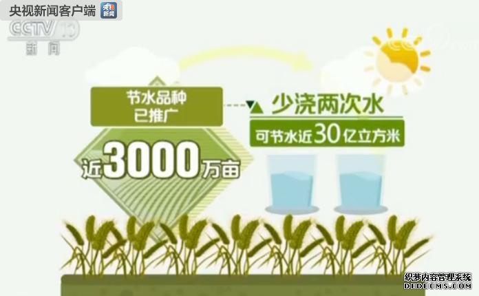 中国小麦育种再突破 7个节水小麦品种发布