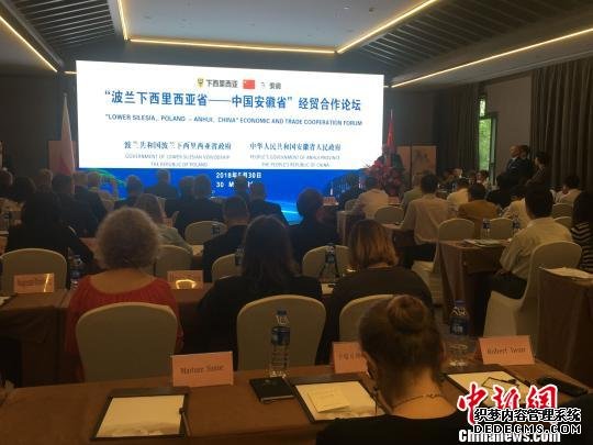 波兰下西里西亚省——中国安徽省经贸合作论坛